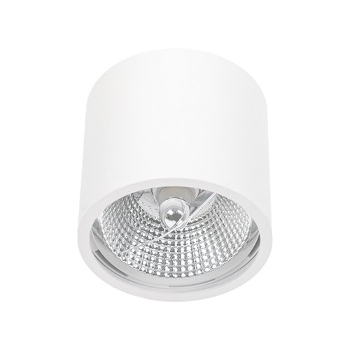 Lampa sufitowa 1xAR111 IP65 Spot Carlo biała