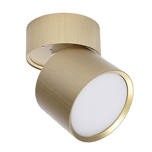 Lampa sufitowa ruchoma Złoty Spot GX53