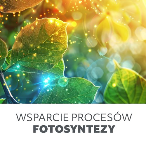 Żarówka LED Filament E27 do uprawy roślin Planty 8W